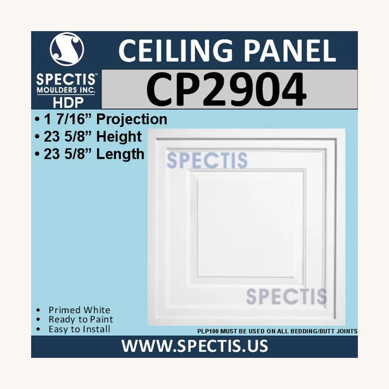 CP2904 23-5/8 inch Spectis drop-in ceiling panel